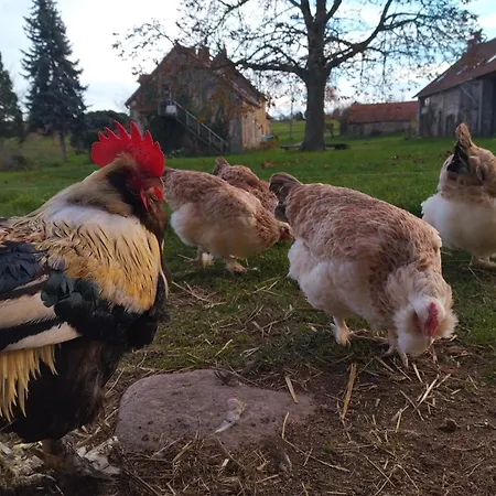 Rouge Paisible A La Ferme, Animaux Acceptes, Wifi Inclus - Fr-1-489-559 *