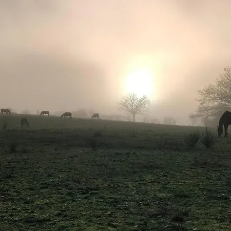 Campagnard Avec Wifi Et Animaux Acceptes - Fr-1-489-559 *