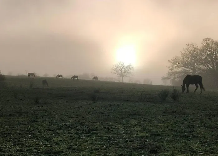 Campagnard Avec Wifi Et Animaux Acceptes - Fr-1-489-559 *