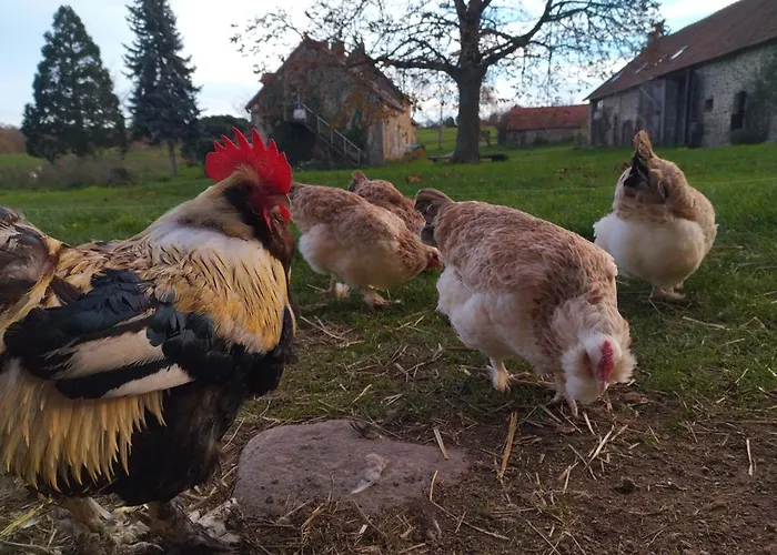 Campagnard Avec Wifi Et Animaux Acceptes - Fr-1-489-559 Saint-Bonnet-de-Four